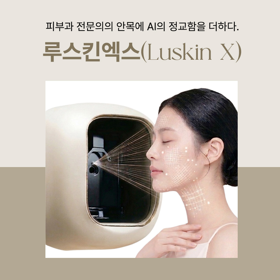 본문 내용을 보조하는 이미지