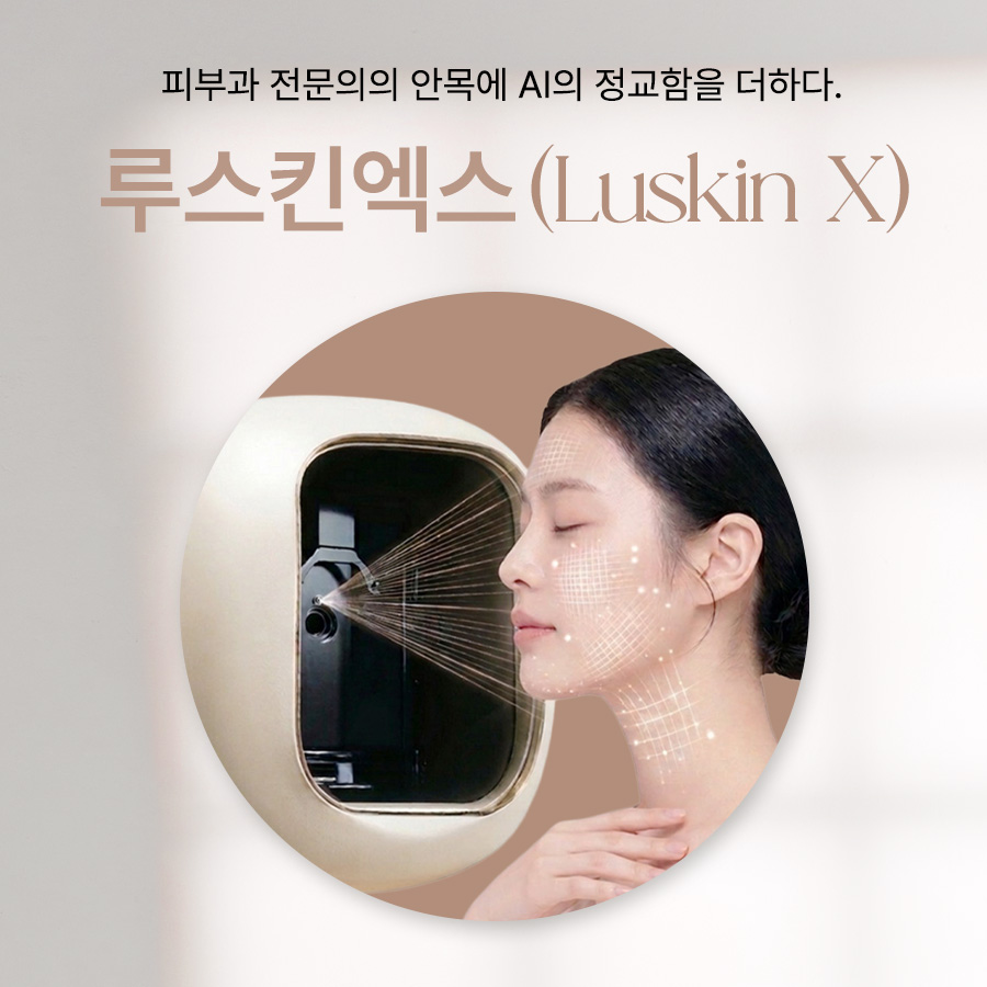 본문 내용을 보조하는 이미지