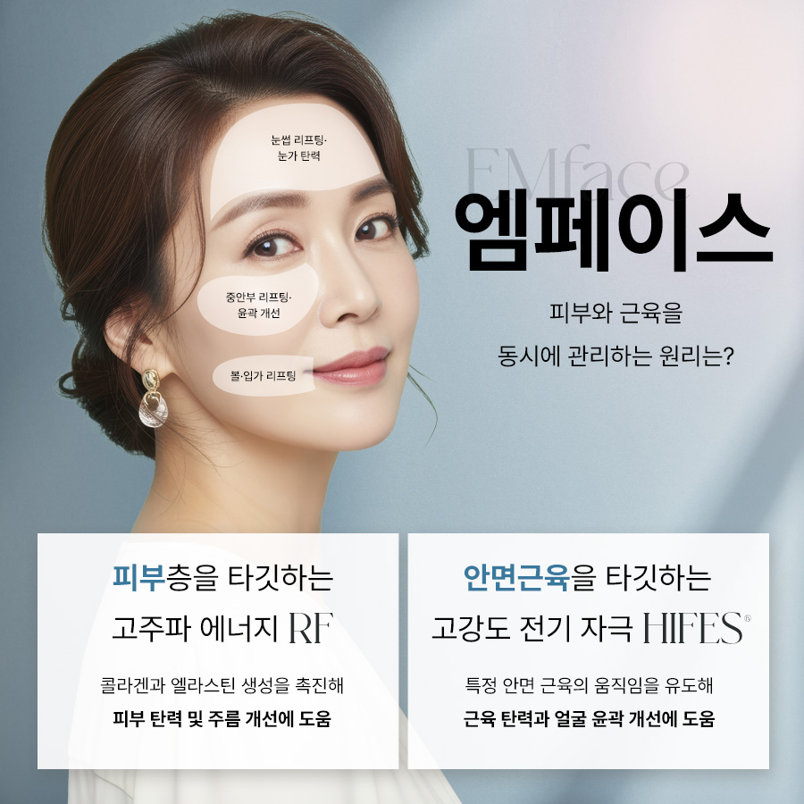 본문 내용을 보조하는 이미지