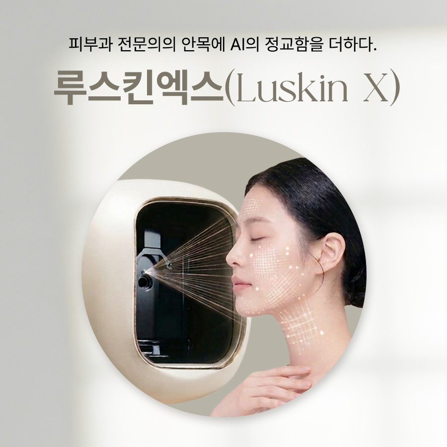 본문 내용을 보조하는 이미지
