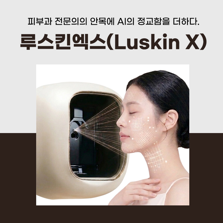 본문 내용을 보조하는 이미지