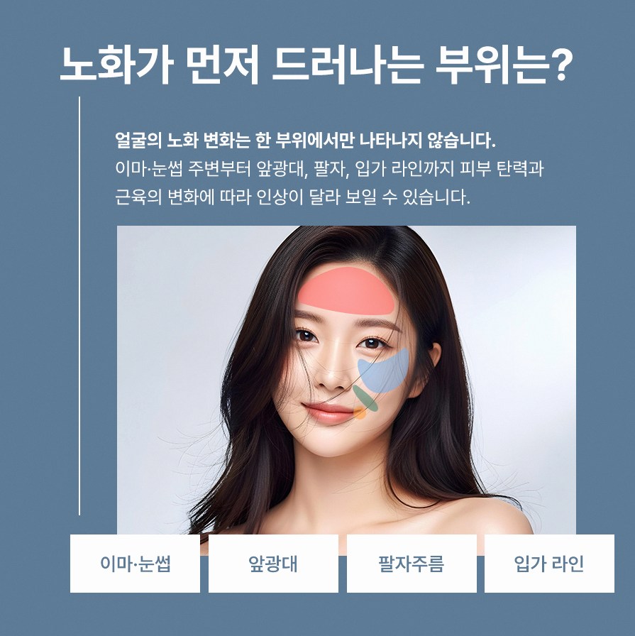 본문 내용을 보조하는 이미지