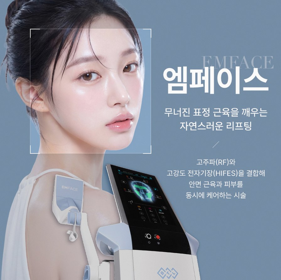 본문 내용을 보조하는 이미지